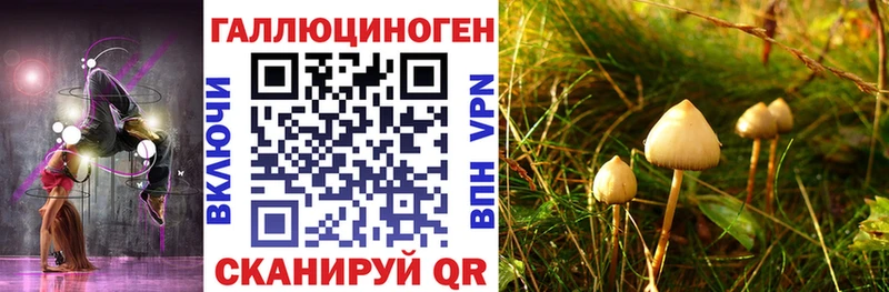 наркота  маркетплейс как зайти  гидра маркетплейс  Галлюциногенные грибы ЛСД  Сорск 